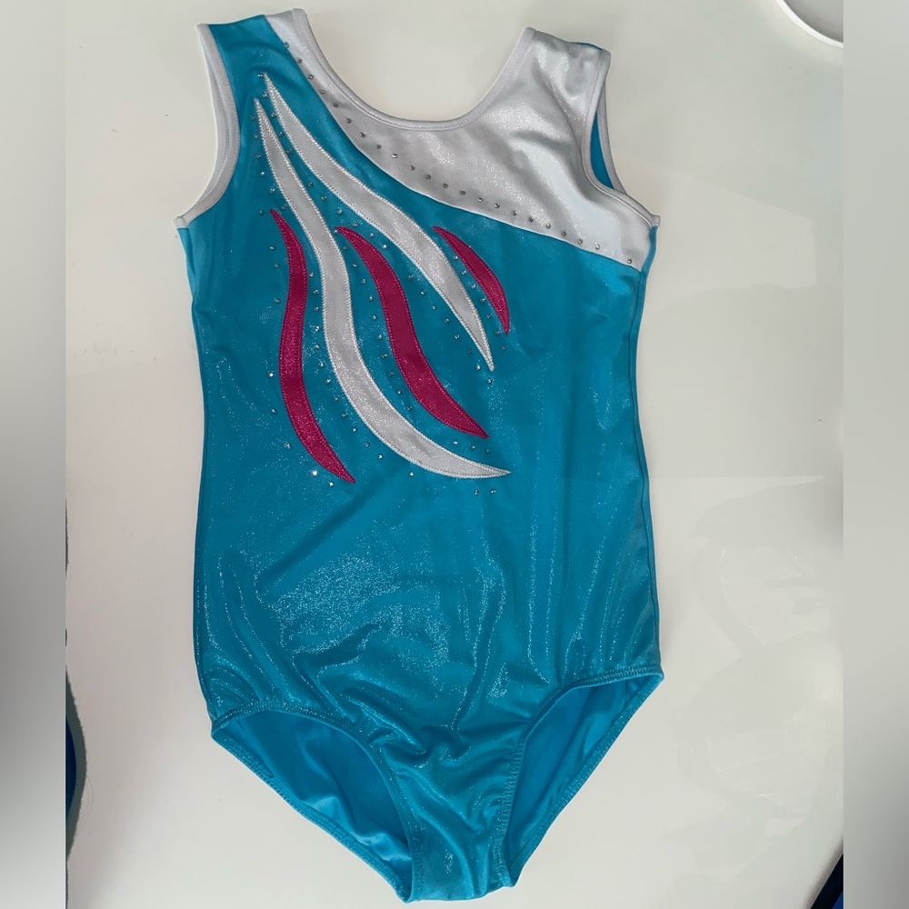 Blue leotard